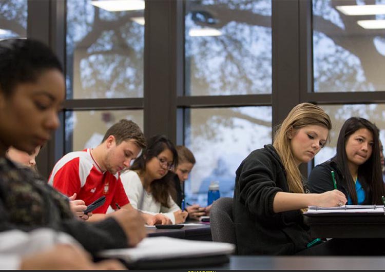 Master of Science in Professional Accounting