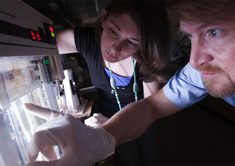 Bachelor of Science in Biology