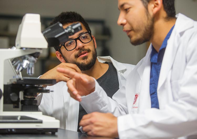 Bachelor of Arts in Biochemistry