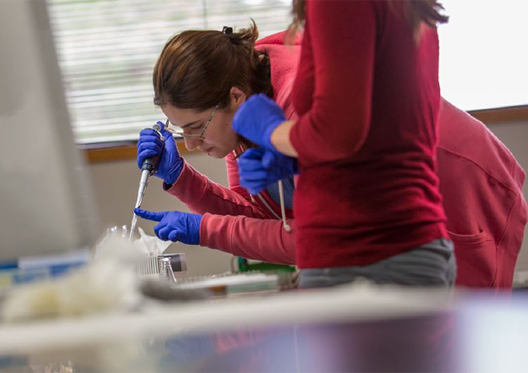 Bachelor of Science in Forensic Chemistry