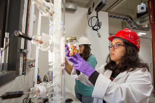 Bachelor of Science in Chemical and Biomolecular Engineering