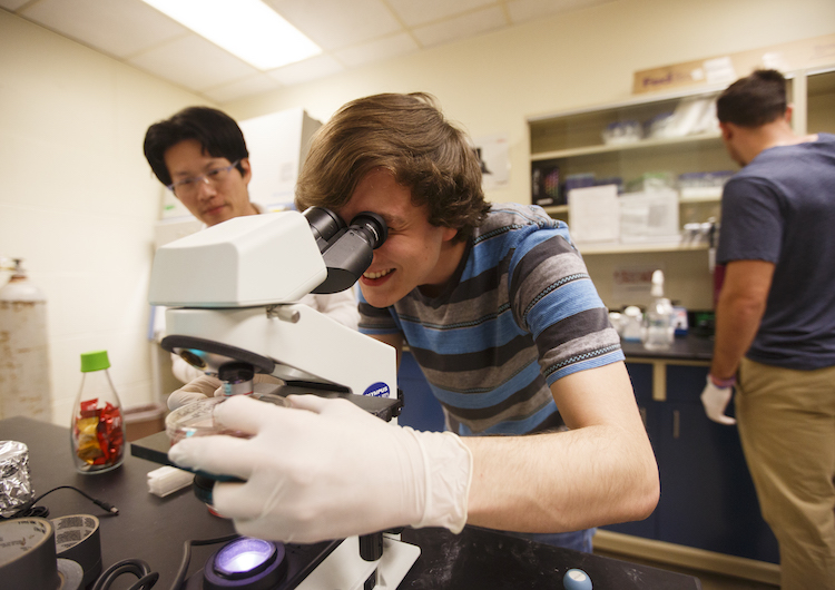 Pre-Optometry Degree