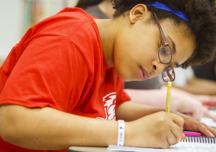 Pre-Veterinary Degree