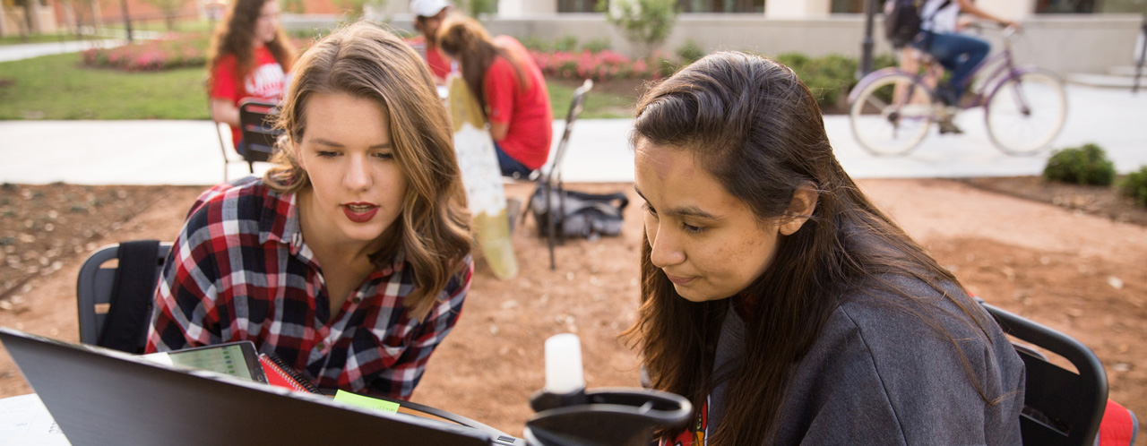 students at computer in quad