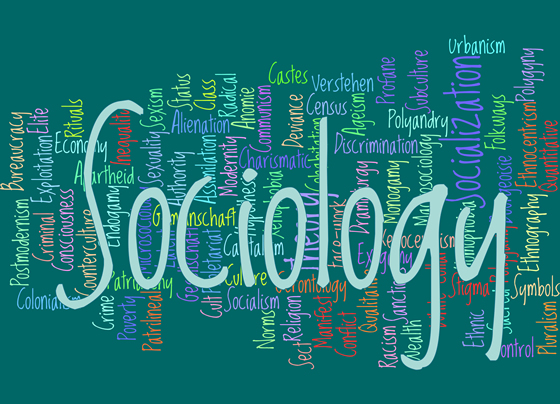 Resultado de imagen para sociology