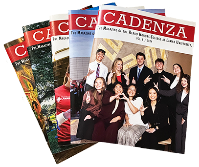 2024 Cadenza Covers