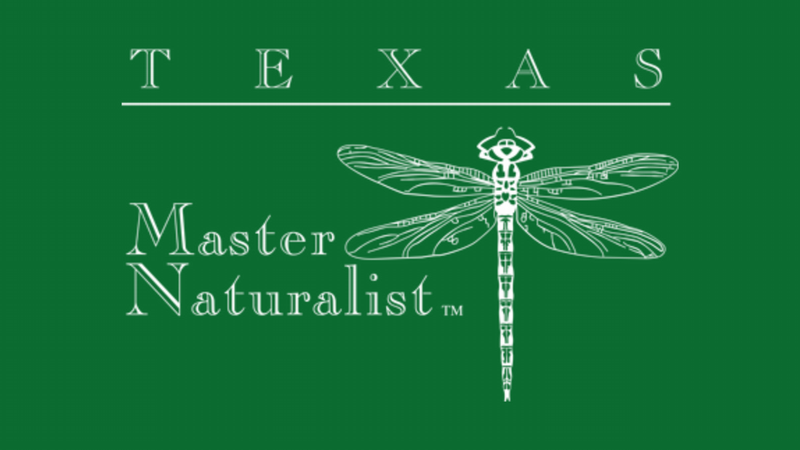 Texas Master Naturalists