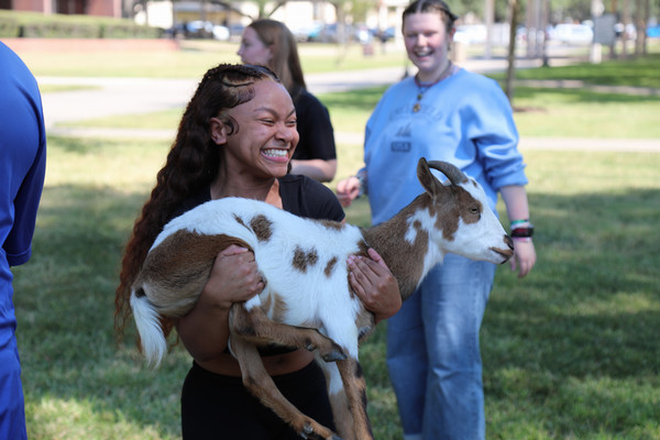 Student Engagement Goat Yoga LU